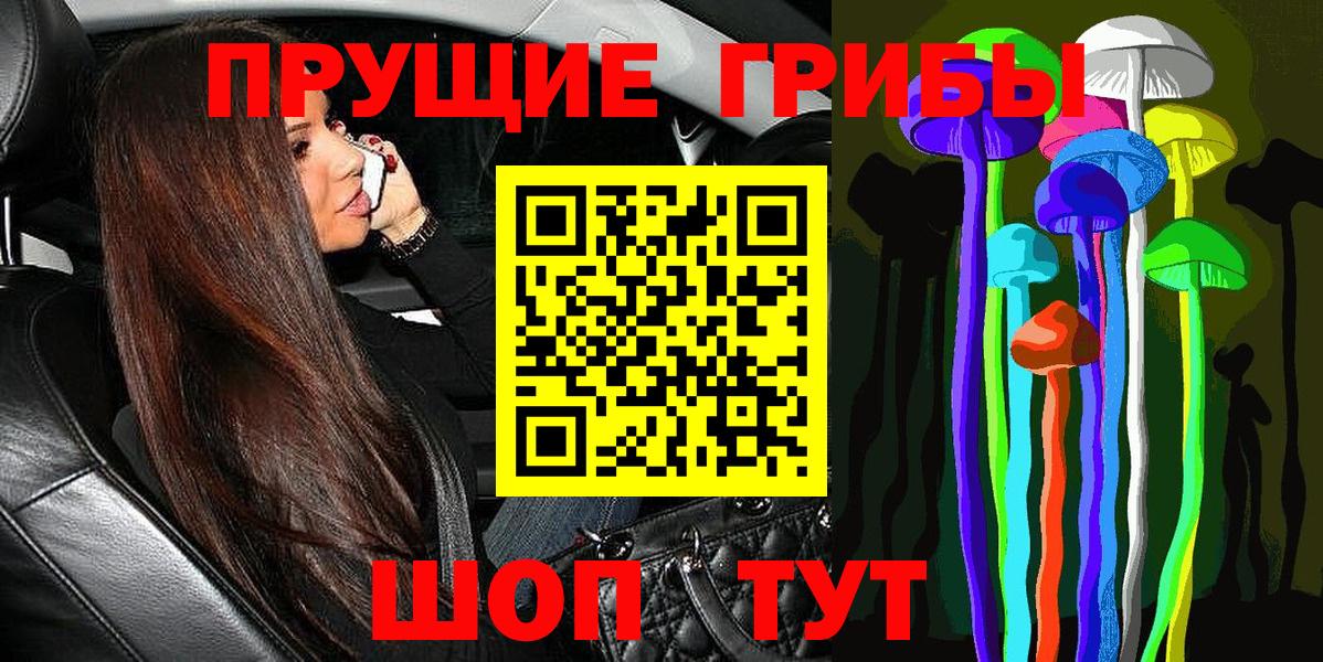 Псилоцибиновые грибы Psilocybine cubensis Иркутск