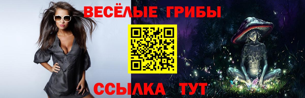 Псилоцибиновые грибы Magic Shrooms  Галлюциногенные грибы Psilocybine cubensis  Иркутск  Вход с VPN 